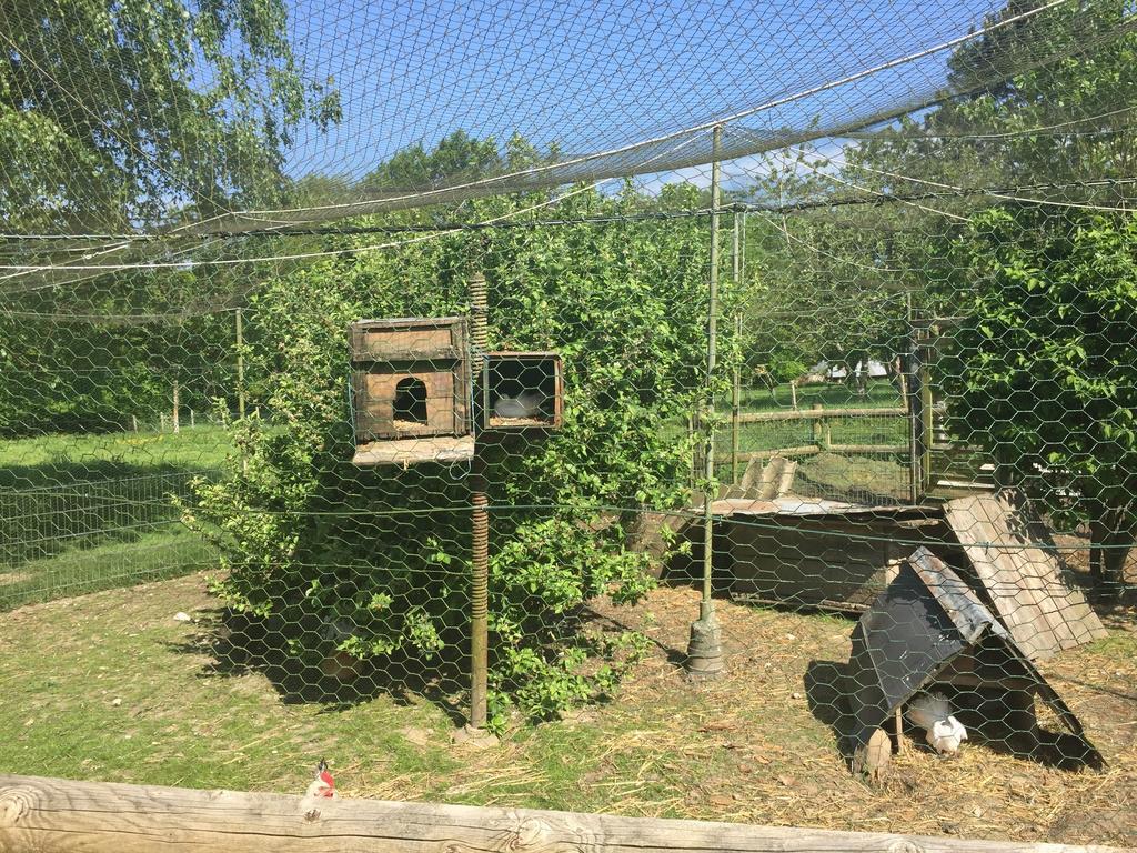 科琳娜住宿加早餐旅馆 Fourneville 外观 照片